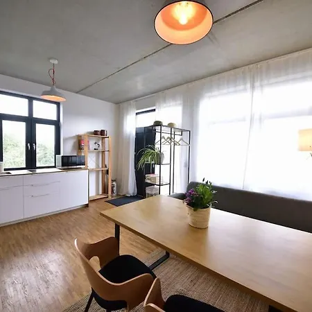 Loftwohnung Auf Dem Holundergut In Apartment *