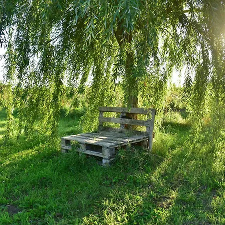Loftwohnung Auf Dem Holundergut In Kuehlungsborn